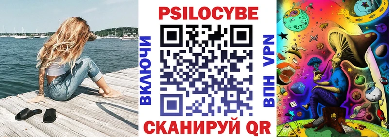 как найти закладки  Яранск  Галлюциногенные грибы Psilocybe 